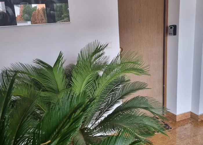 Baneasa Sisesti By Ale Self Check-in