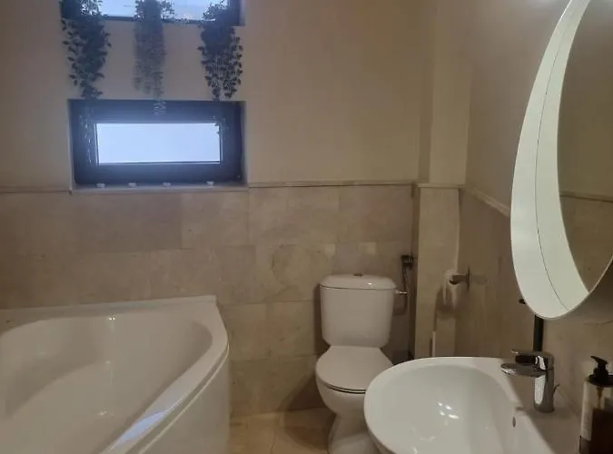 Appartamento Baneasa Sisesti By Ale Self Check-in